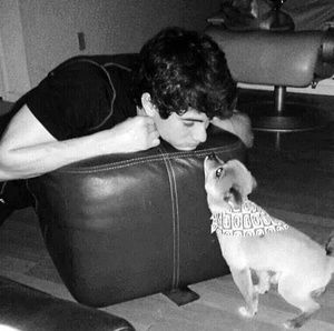 Meet your Posher, Norma